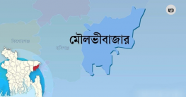 মৌলভীবাজারে চারটি আসনে ৩১জনের মনোনয়নপত্র দাখিল